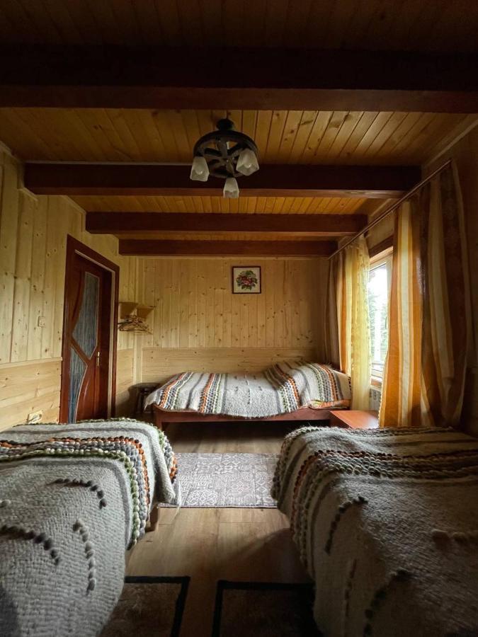 Джинджура Ворохта Экстерьер фото